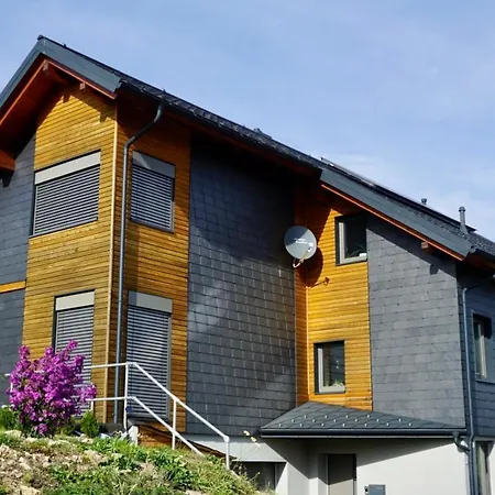 Fewo Herein Spaziert Schmiedefeld am Rennsteig Exterior photo
